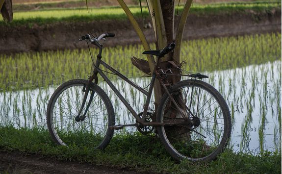 cycle indonesia