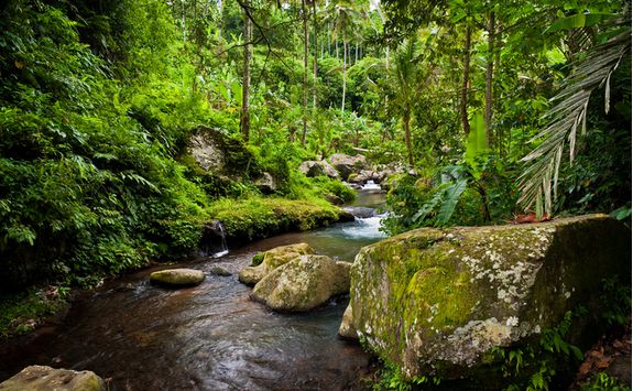 ubud river