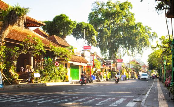 Ubud moneky forest road