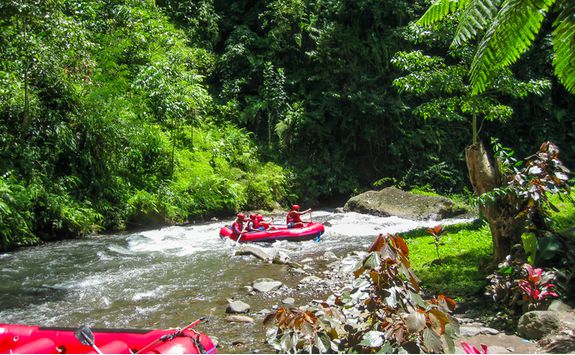 ayung river rafting