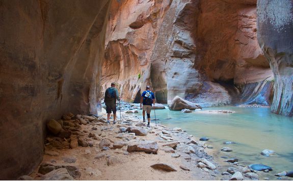 Image of Gorge Walkers