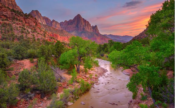 A River in the Zion National Park