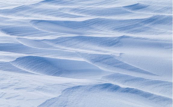 Explore the ice fields