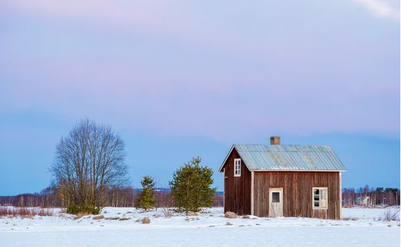 Wilderness Cabin