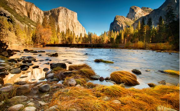 Yosemite National Park
