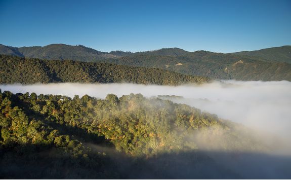 Carmel Valley Morning Fog