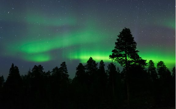 The Northern Lights