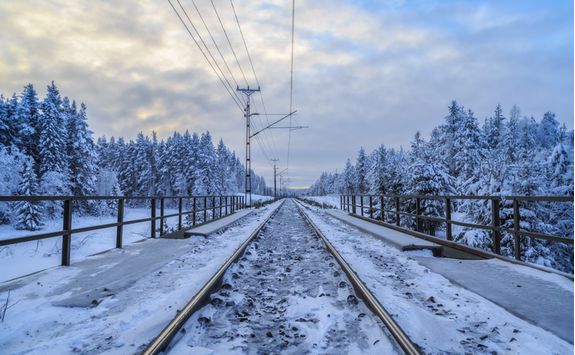 Explore the snowy train tracks