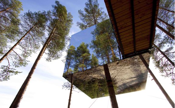 The Tree Hotel