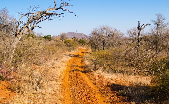 Madikwe Road, South Africa