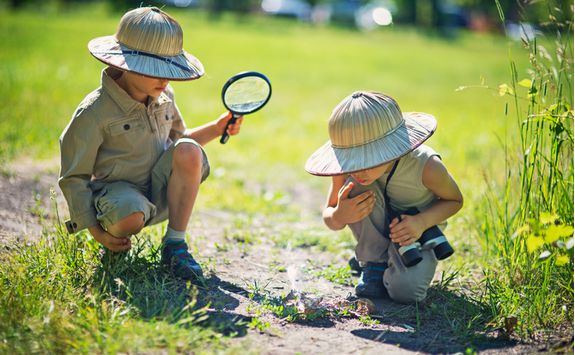 Kids bugs