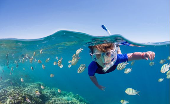 Kid snorkelling