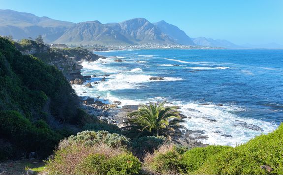 Hermanus Coast