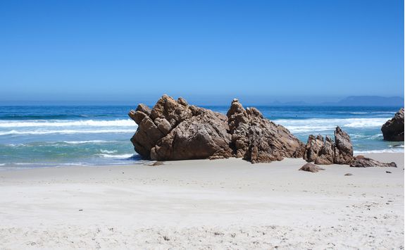 Hermanus Beach