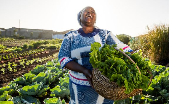 woman picking veg