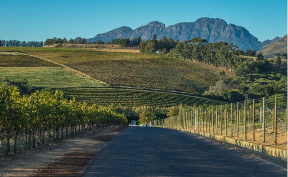 cape winelands road