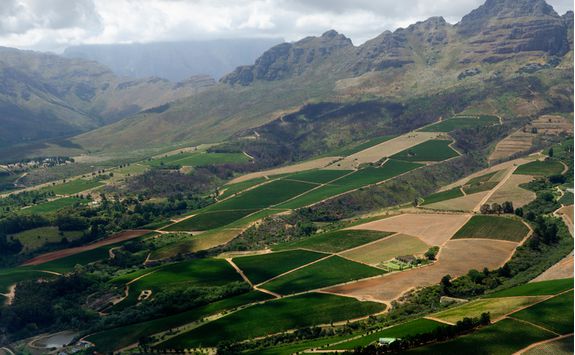cape wine valley
