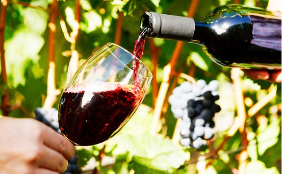 wine tasting