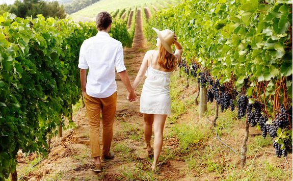 couple walking through vineyard
