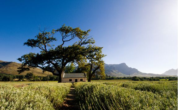 franschhoek scenery
