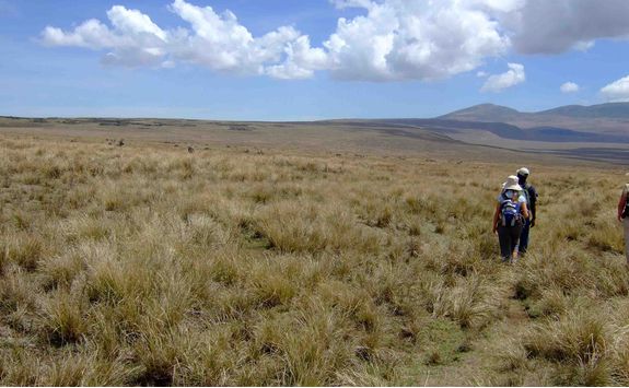 walking safari