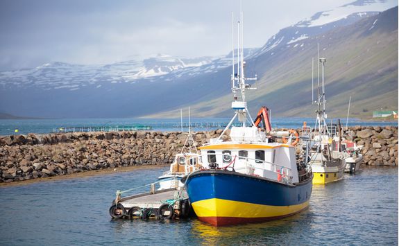 A boat bobs in the harbour
