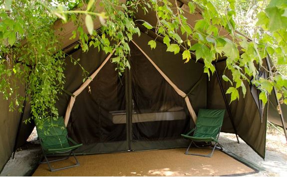 Leopard Trails Luxury Camp