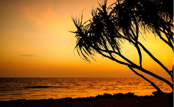 Beach Sunset
