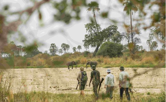 Walking Safari, Tanzania