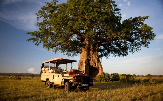 Jeep, Ruaha National Park