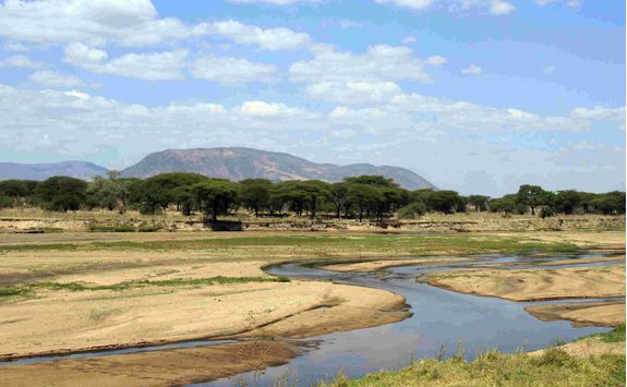 Ruaha National Park