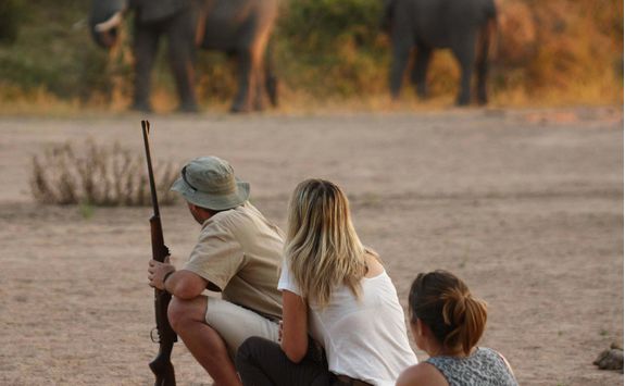 Walking Safari in Ruaha