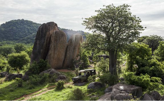 Game Drive, Tanzania