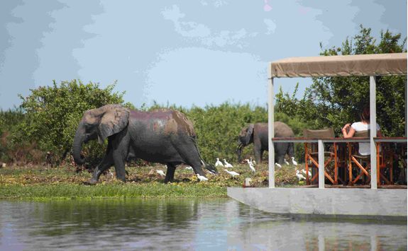 River cruise, Tanzania