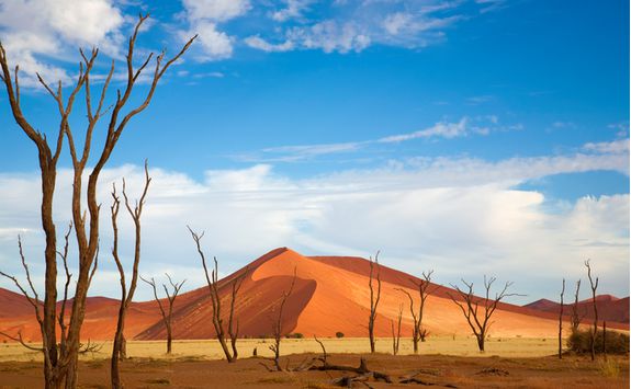 sossusvlei landscape