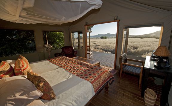 desert rhino camp interior