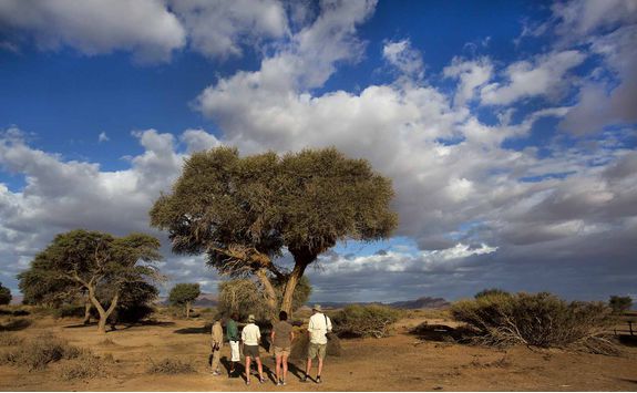 kulala walking safari