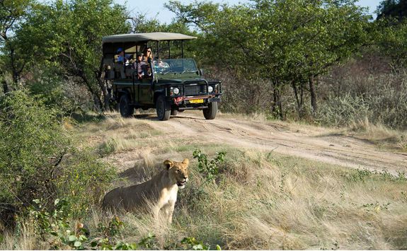 ongava lodge game drive