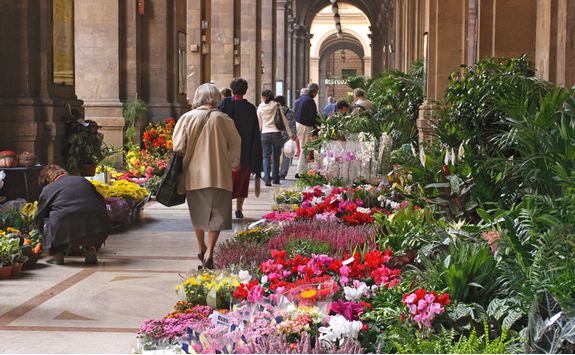 Flowers in Florence