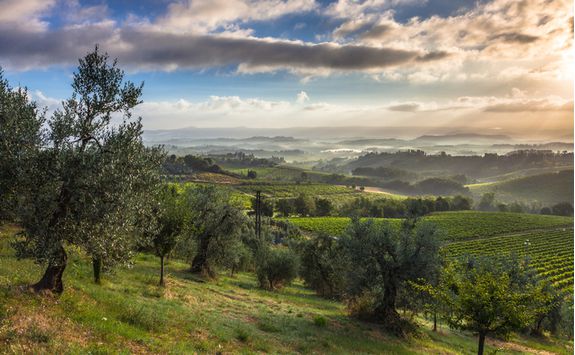 Tuscan Hills