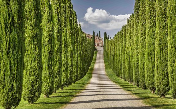 Winery in Tuscany