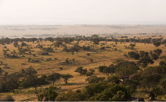 Tanzania scenery