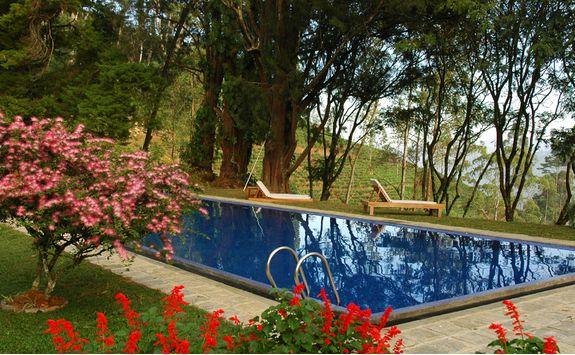 ceylon tea trails