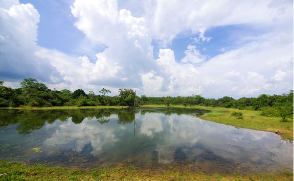 udawalawe