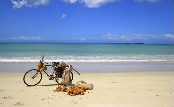 A bike on the beach in Zanzibar