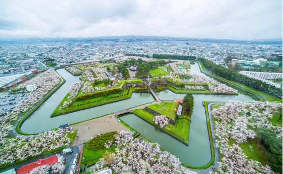 View of Goryokaku Park from Goryokaku Tower