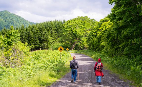 Walking in Shikotsu Toya National Park