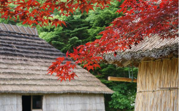 Ainu Museum