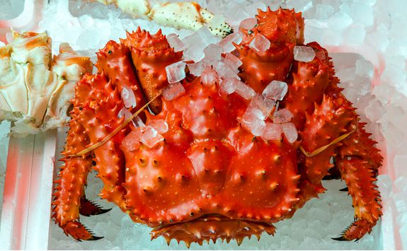 Otaru crab