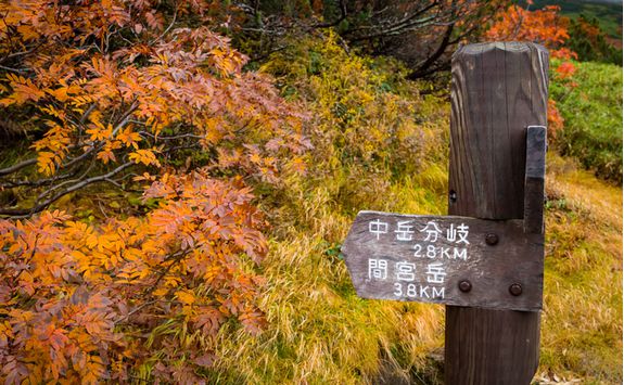 Trail sign in Daisetsuzan National Park